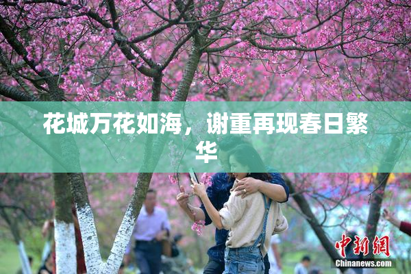花城万花如海，谢重再现春日繁华
