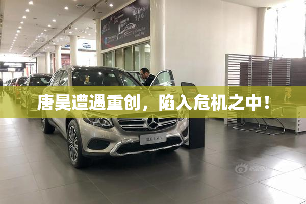 唐昊遭遇重创，陷入危机之中！