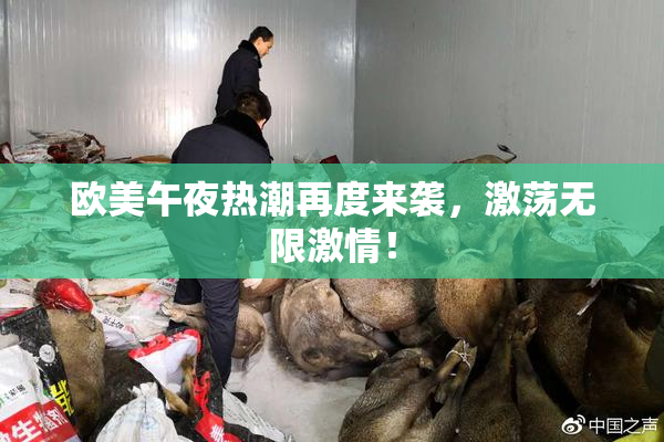 欧美午夜热潮再度来袭，激荡无限激情！