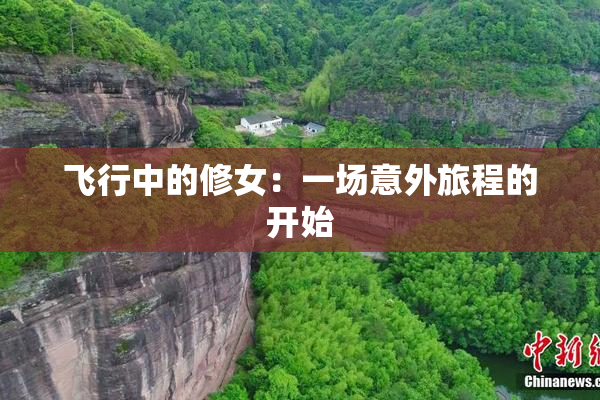 飞行中的修女：一场意外旅程的开始