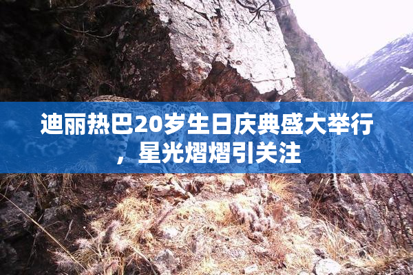 迪丽热巴20岁生日庆典盛大举行，星光熠熠引关注
