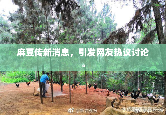 麻豆传新消息，引发网友热议讨论。