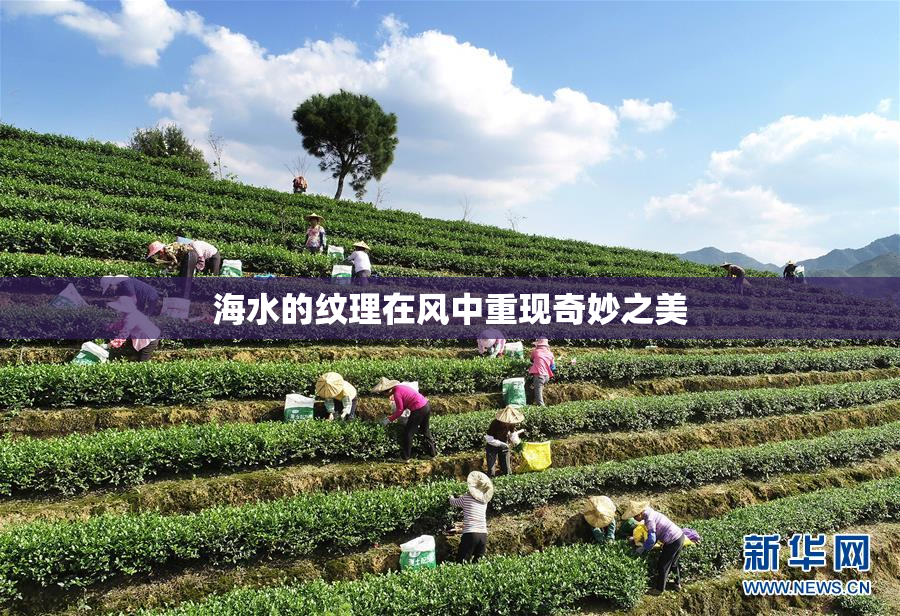 海水的纹理在风中重现奇妙之美
