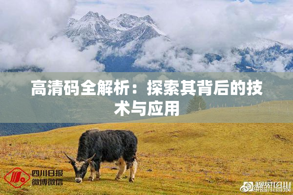 高清码全解析：探索其背后的技术与应用