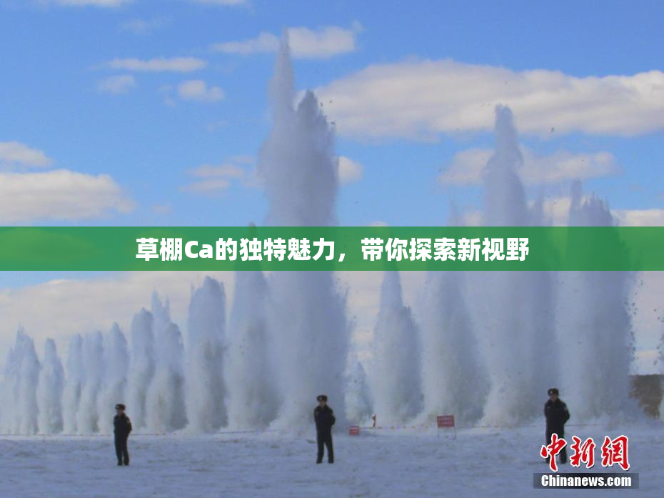 草棚Ca的独特魅力，带你探索新视野