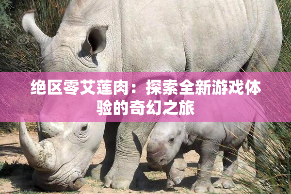 绝区零艾莲肉：探索全新游戏体验的奇幻之旅