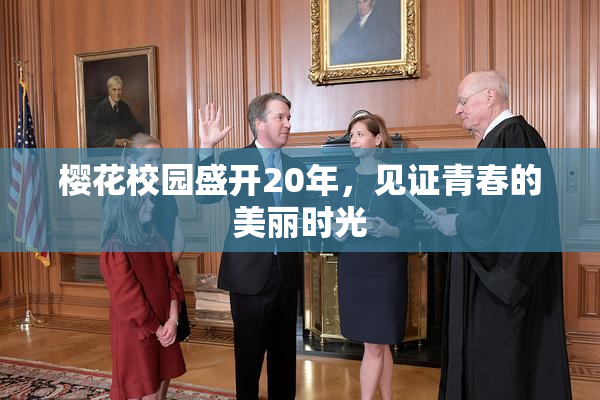 樱花校园盛开20年，见证青春的美丽时光