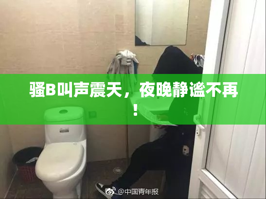 骚B叫声震天，夜晚静谧不再！