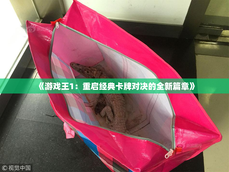 《游戏王1：重启经典卡牌对决的全新篇章》
