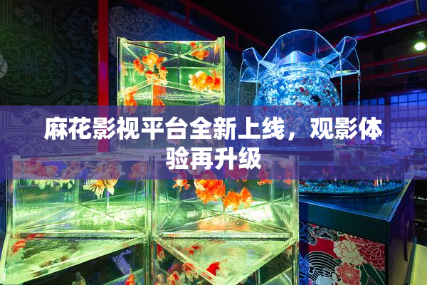 麻花影视平台全新上线，观影体验再升级