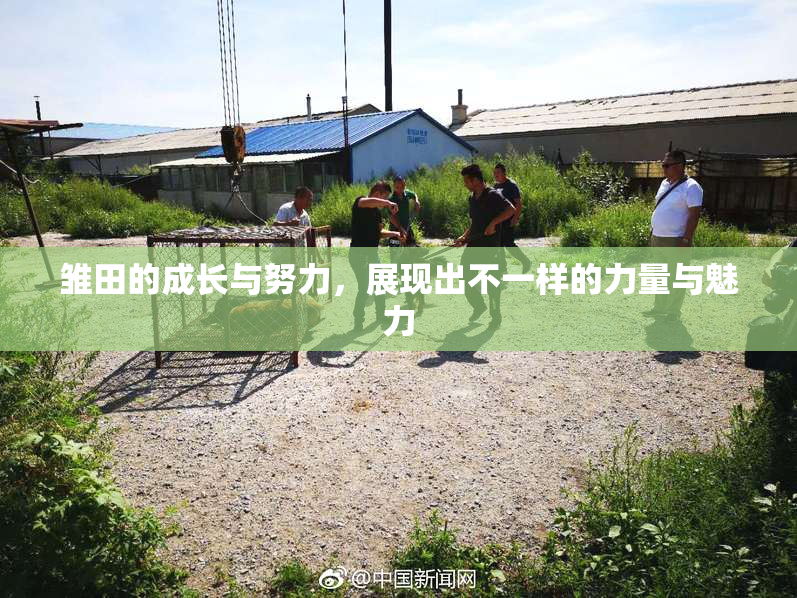 雏田的成长与努力，展现出不一样的力量与魅力