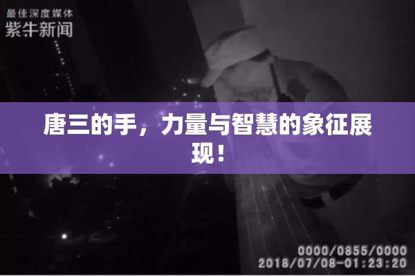 唐三的手，力量与智慧的象征展现！