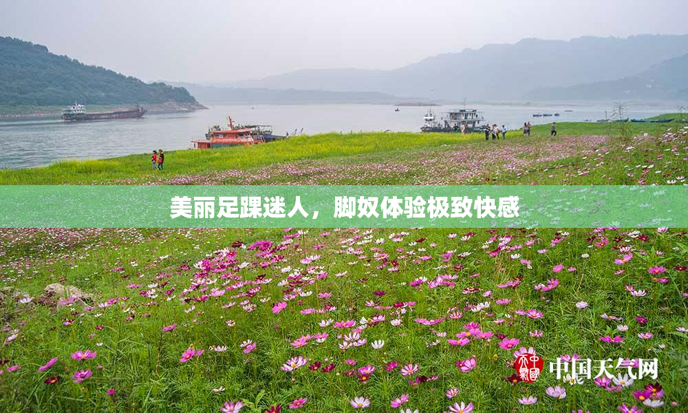 美丽足踝迷人，脚奴体验极致快感