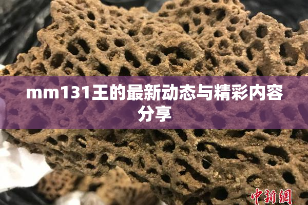 mm131王的最新动态与精彩内容分享