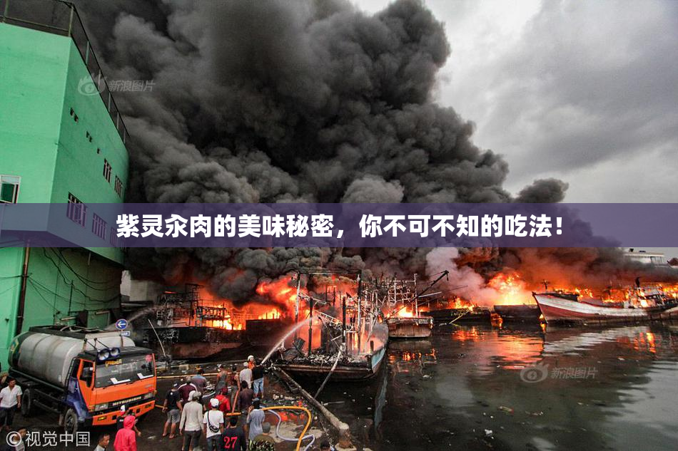 紫灵汆肉的美味秘密，你不可不知的吃法！