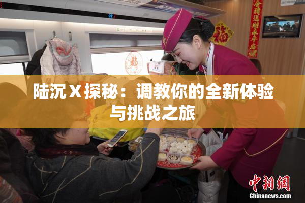 陆沉Ⅹ探秘：调教你的全新体验与挑战之旅