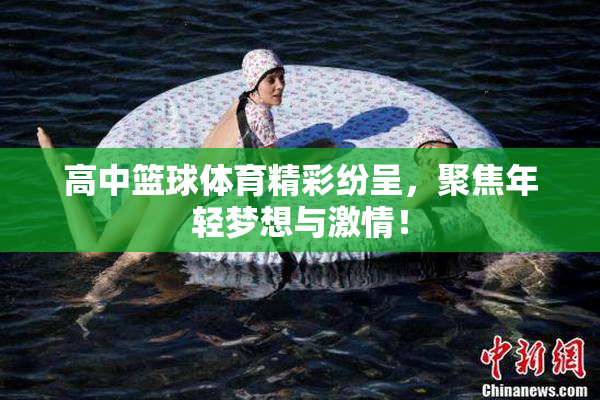 高中篮球体育精彩纷呈，聚焦年轻梦想与激情！