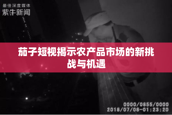 茄子短视揭示农产品市场的新挑战与机遇