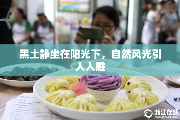 黑土静坐在阳光下，自然风光引人入胜