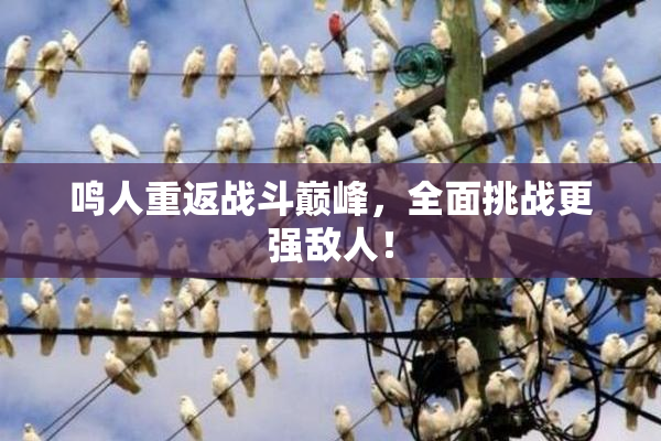 鸣人重返战斗巅峰，全面挑战更强敌人！