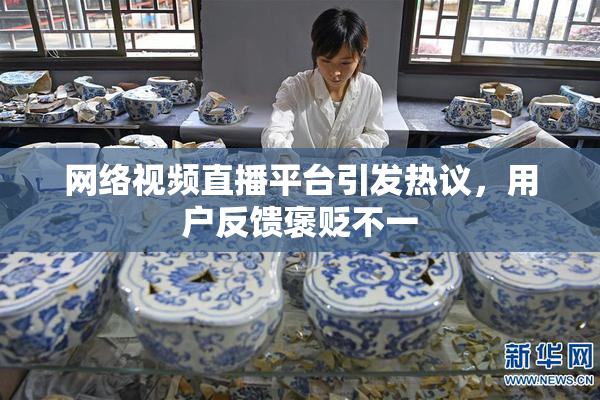 网络视频直播平台引发热议，用户反馈褒贬不一