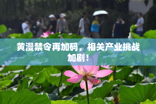 黄漫禁令再加码，相关产业挑战加剧！