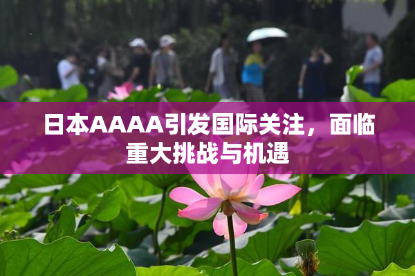 日本AAAA引发国际关注，面临重大挑战与机遇