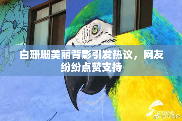 白珊珊美丽背影引发热议，网友纷纷点赞支持