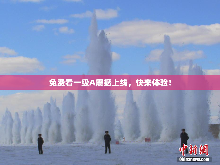 免费看一级A震撼上线，快来体验！