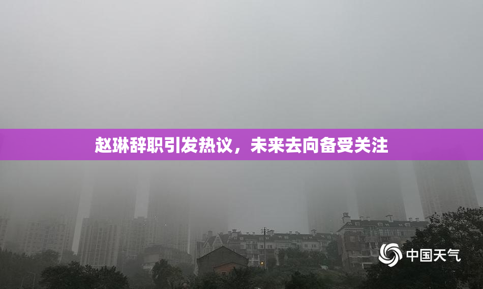 赵琳辞职引发热议，未来去向备受关注