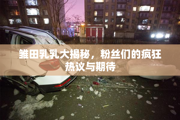 雏田乳乳大揭秘，粉丝们的疯狂热议与期待