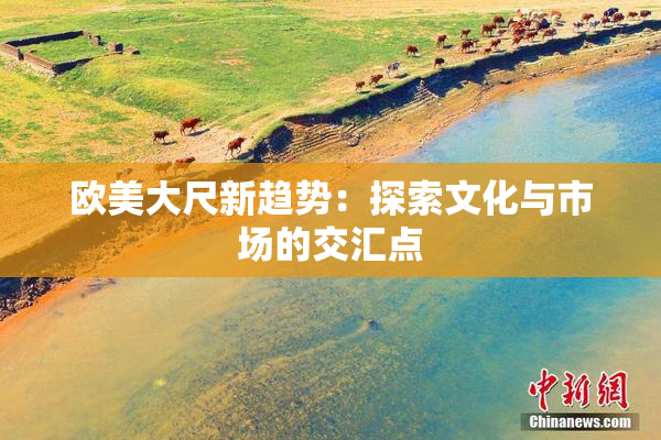 欧美大尺新趋势：探索文化与市场的交汇点