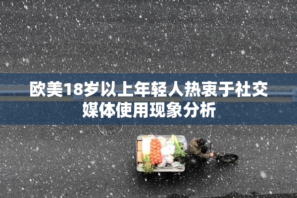 欧美18岁以上年轻人热衷于社交媒体使用现象分析