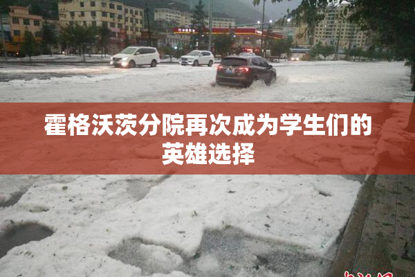 霍格沃茨分院再次成为学生们的英雄选择
