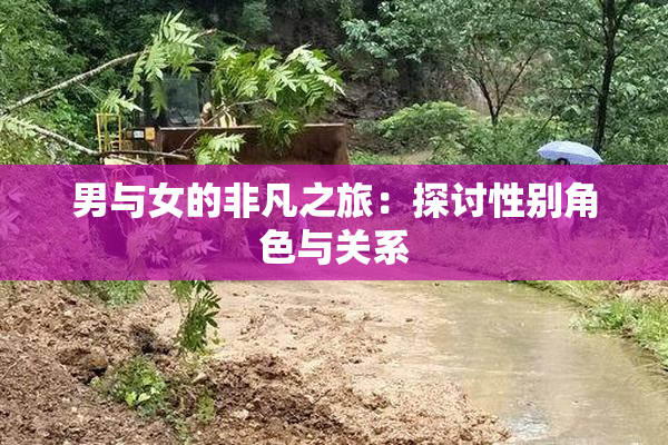男与女的非凡之旅：探讨性别角色与关系