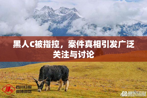 黑人C被指控，案件真相引发广泛关注与讨论