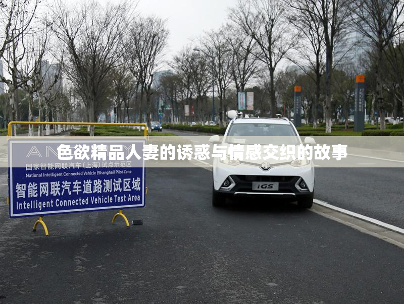 色欲精品人妻的诱惑与情感交织的故事