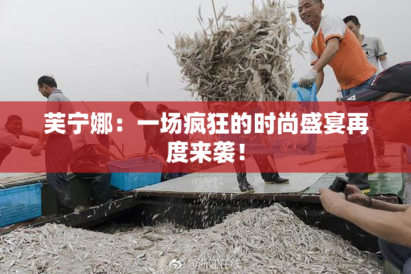 芙宁娜：一场疯狂的时尚盛宴再度来袭！