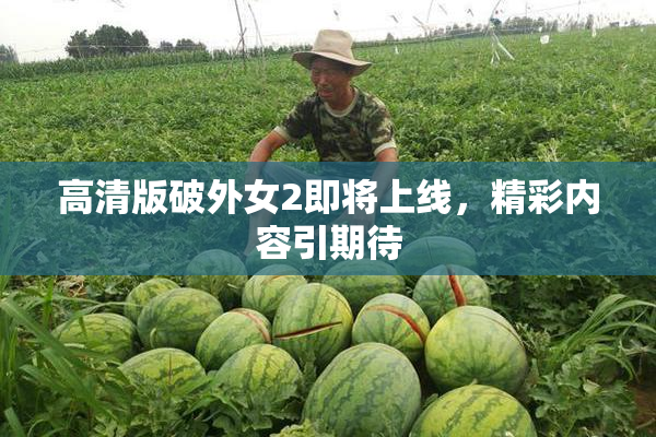 高清版破外女2即将上线，精彩内容引期待