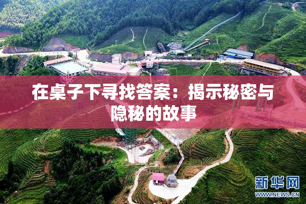 在桌子下寻找答案：揭示秘密与隐秘的故事