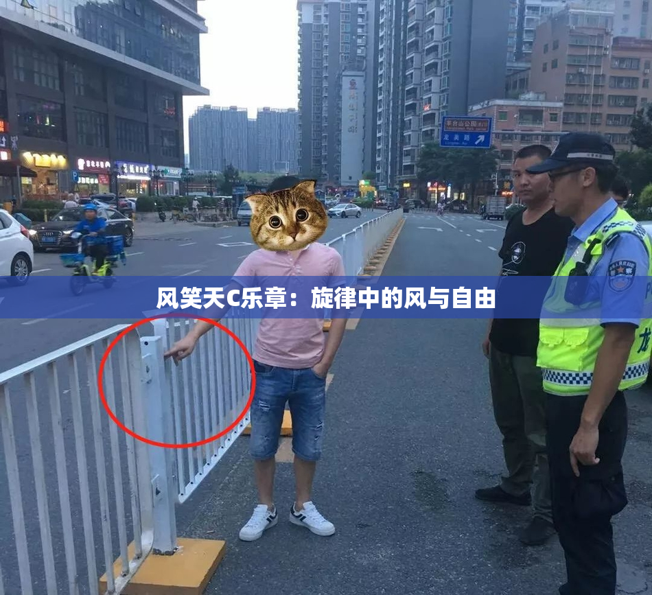 风笑天C乐章：旋律中的风与自由
