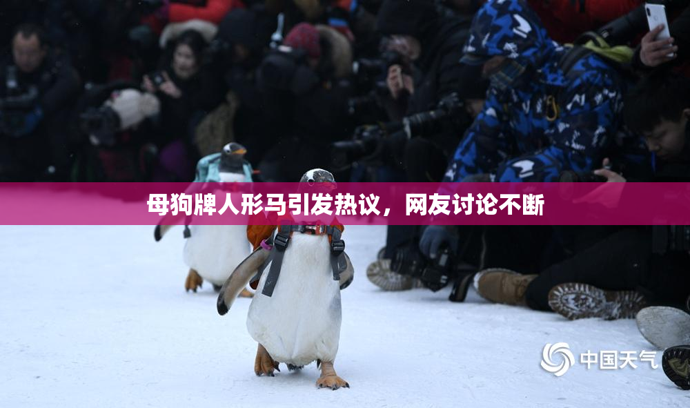 母狗牌人形马引发热议，网友讨论不断