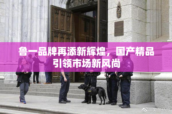 鲁一品牌再添新辉煌，国产精品引领市场新风尚