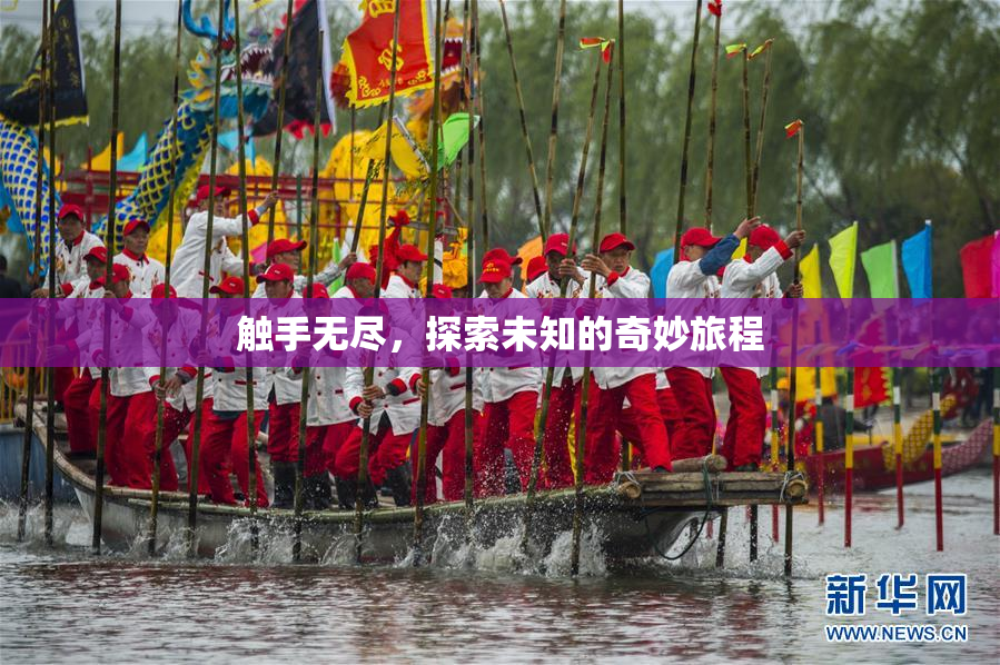 触手无尽，探索未知的奇妙旅程