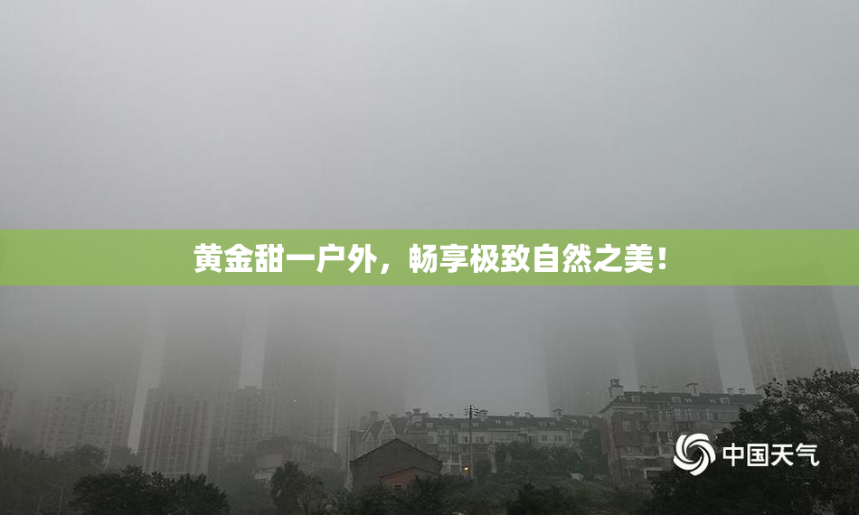 黄金甜一户外，畅享极致自然之美！