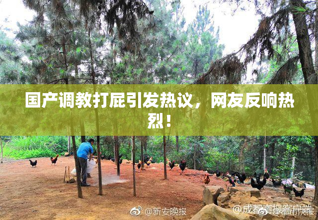 国产调教打屁引发热议，网友反响热烈！
