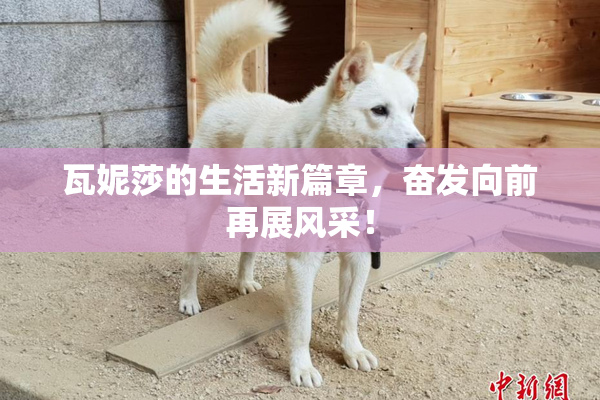 瓦妮莎的生活新篇章，奋发向前再展风采！