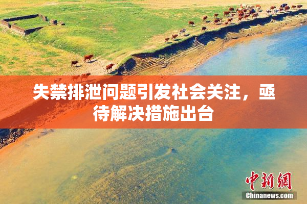 失禁排泄问题引发社会关注，亟待解决措施出台