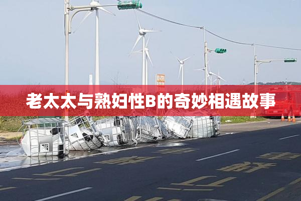 老太太与熟妇性B的奇妙相遇故事