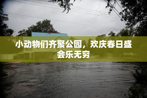 小动物们齐聚公园，欢庆春日盛会乐无穷